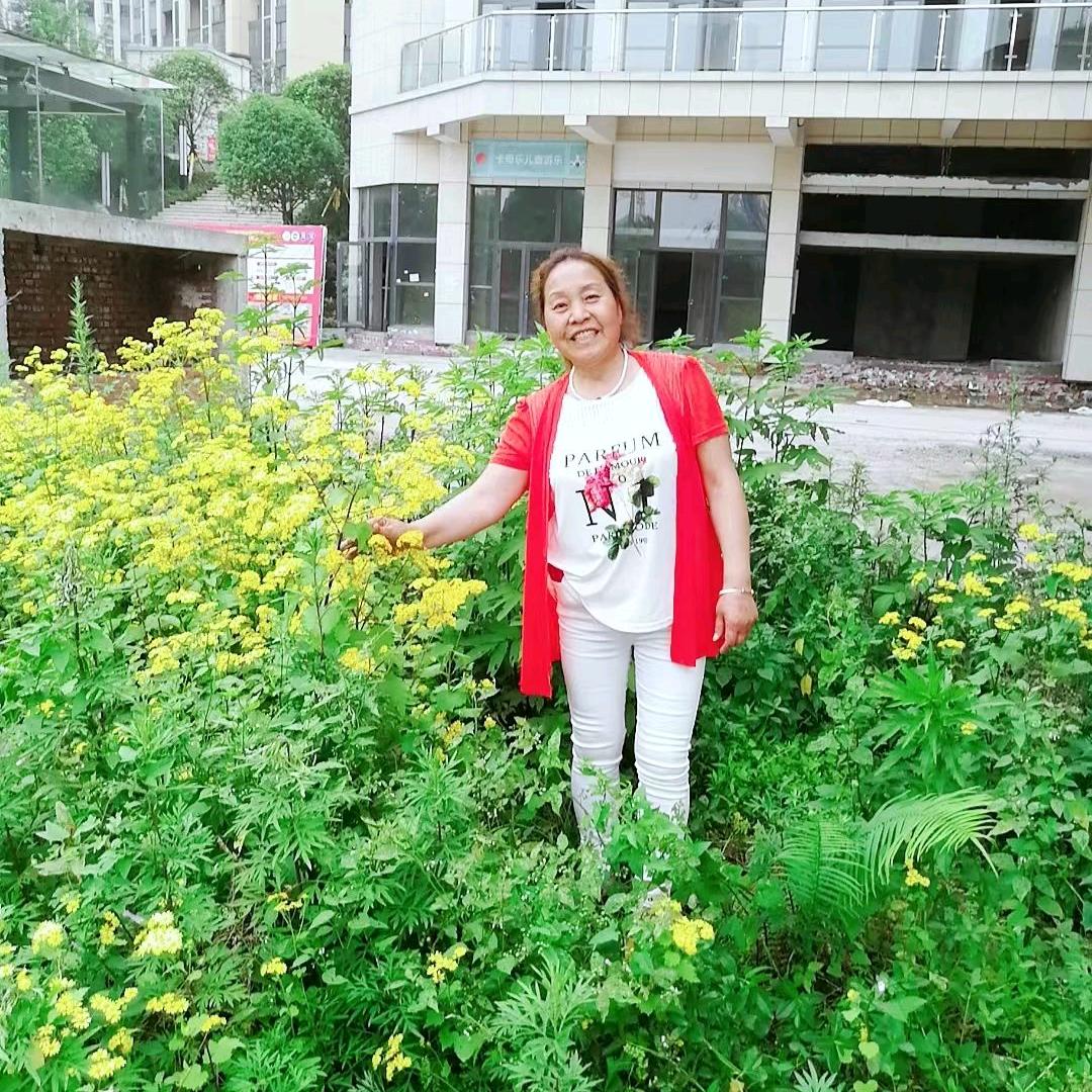 好人一生平安🌹🌹🌹