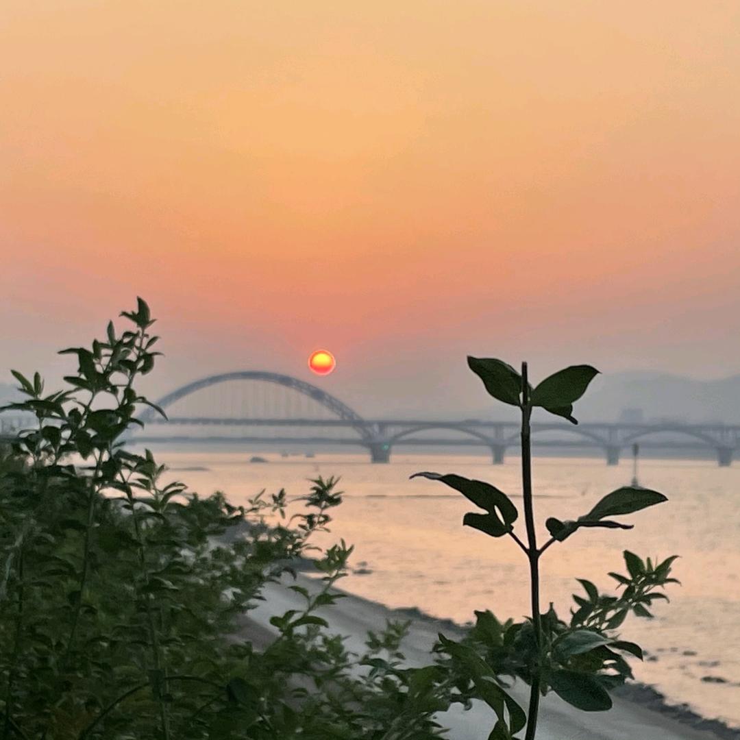 风度