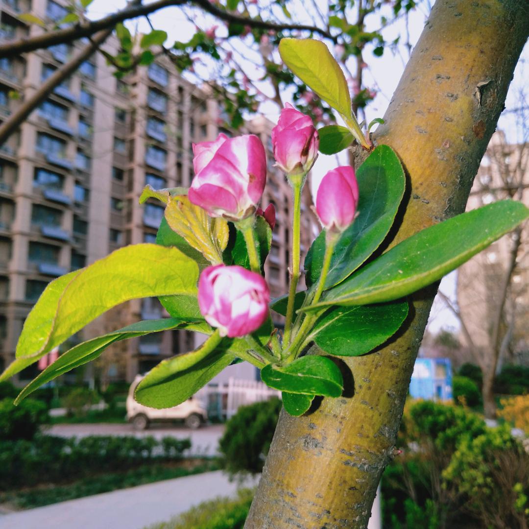 真心付出永久回报