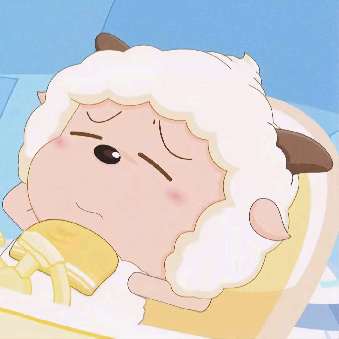 章鱼哥zb