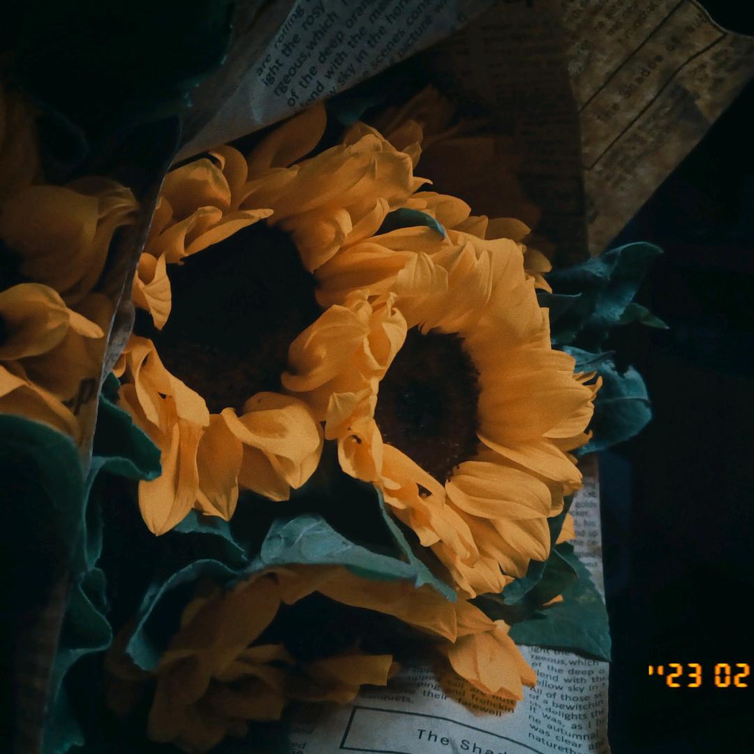 ʕ•̫͡•ʕ*̫͡*ʕ•͓͡•ʔ-̫͡-