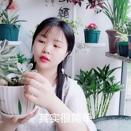 爱养花的小露