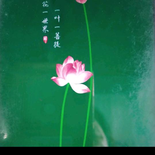 钱姐