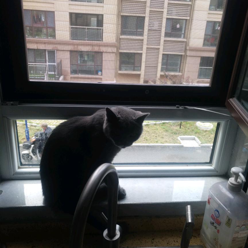老好人