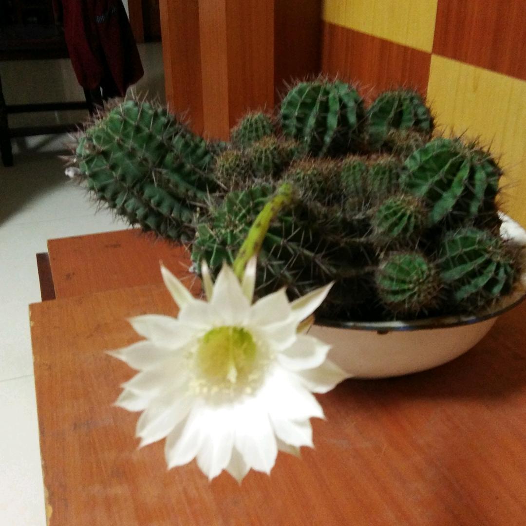 记忆