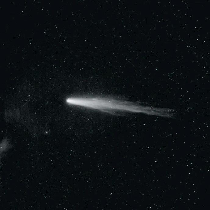 绿土豆（喜欢有惊喜版）