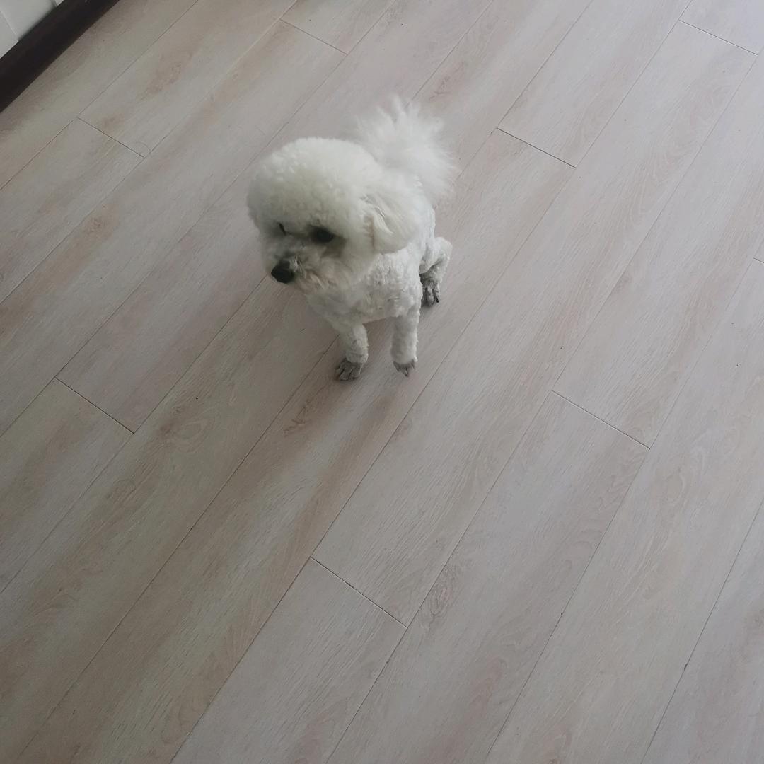 蹦上心头那一枪