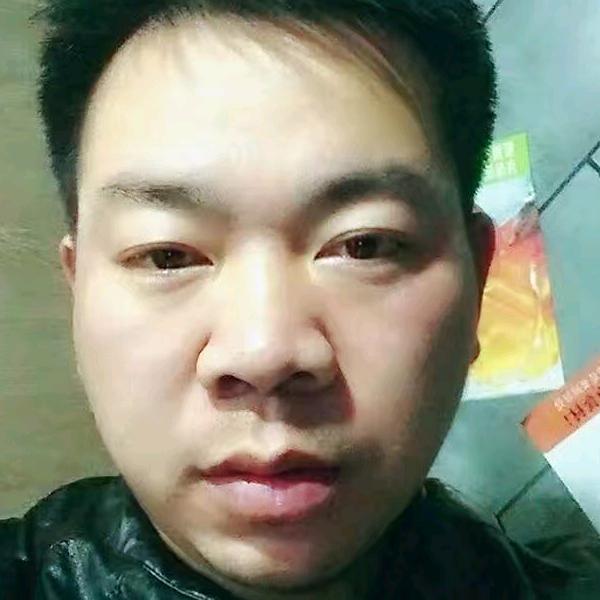 树哥