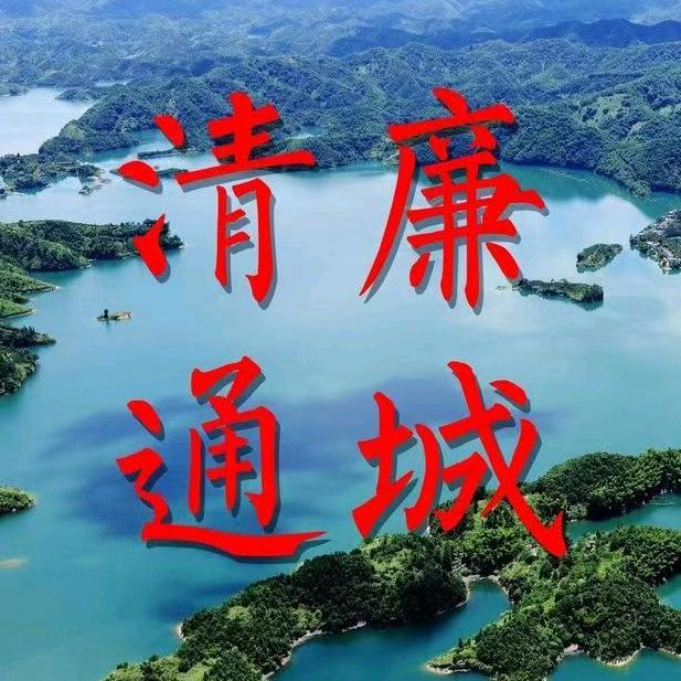 通城县纪委监委