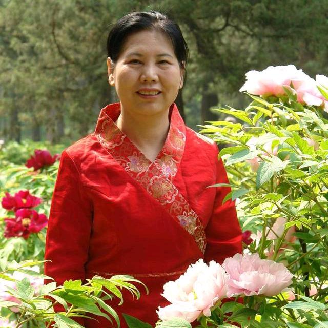 牡丹仙子周石松