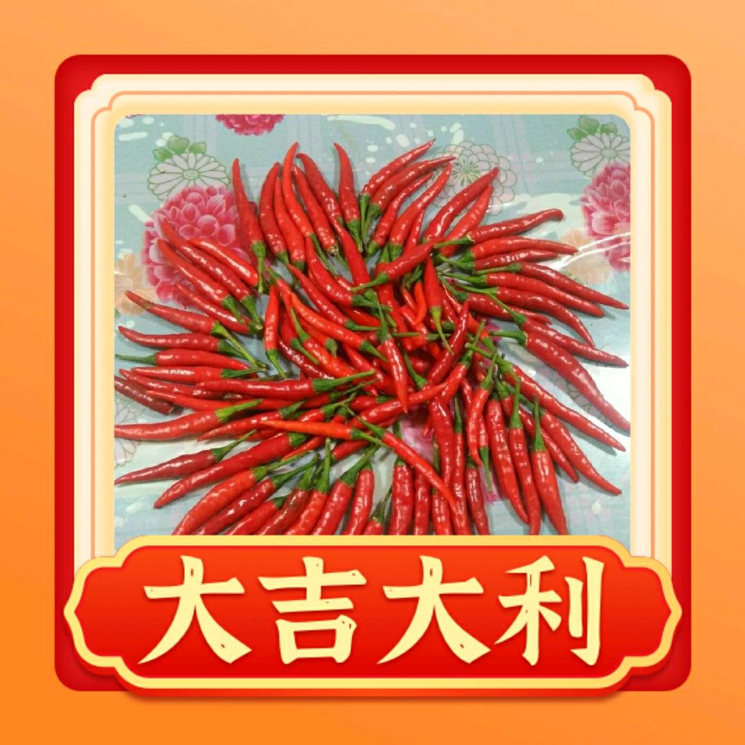 好记336