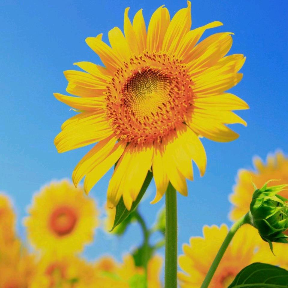 华姐！附近的人