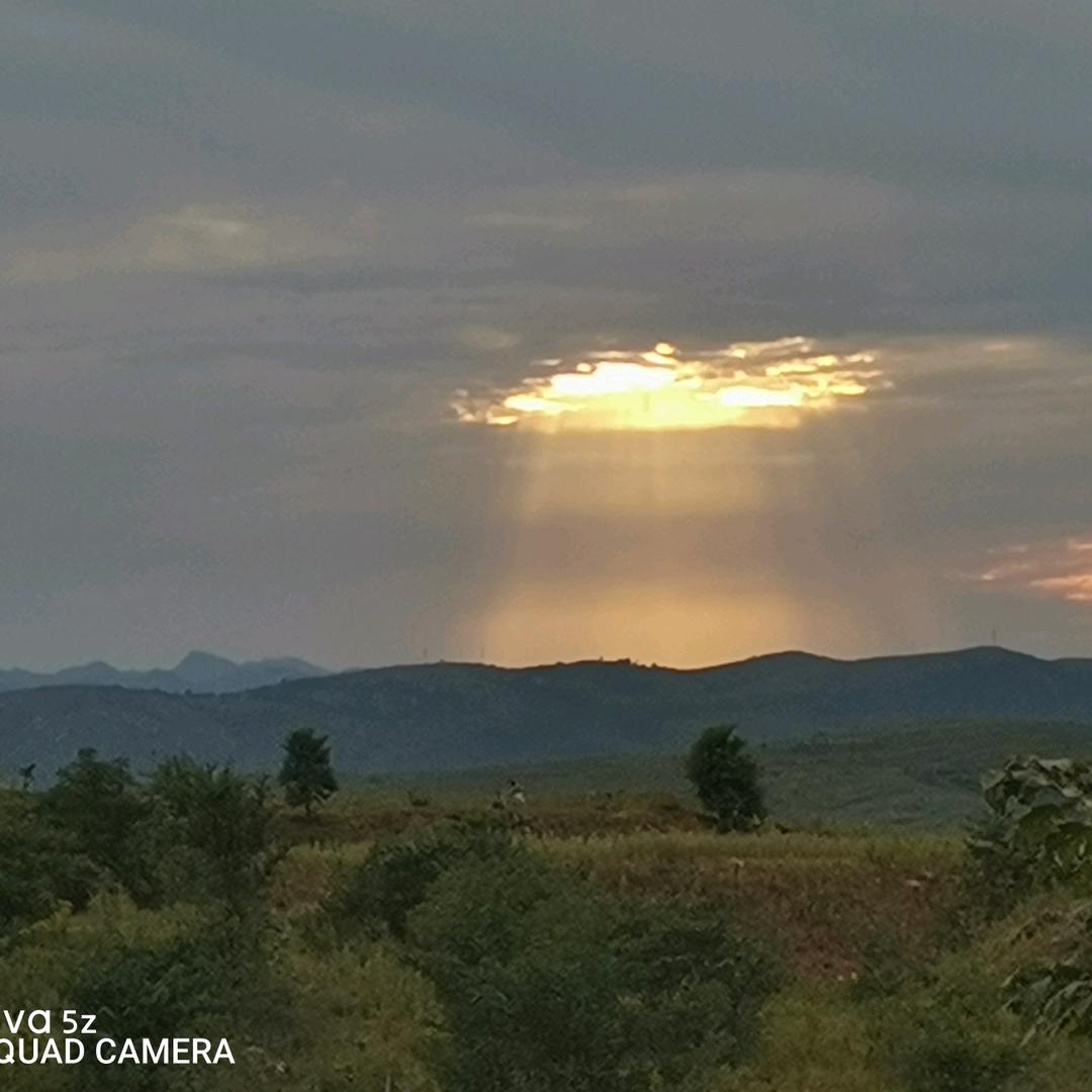 海南水稻新农人招募