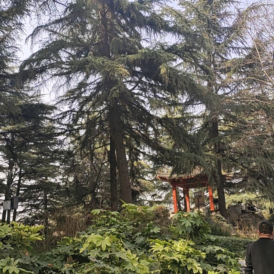保持信