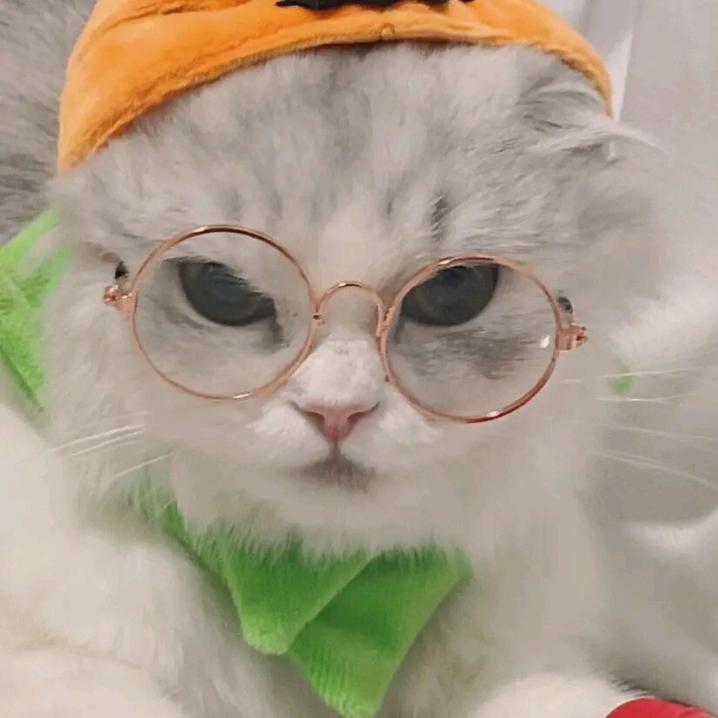 张屁屁放个屁再走.🌍☀️