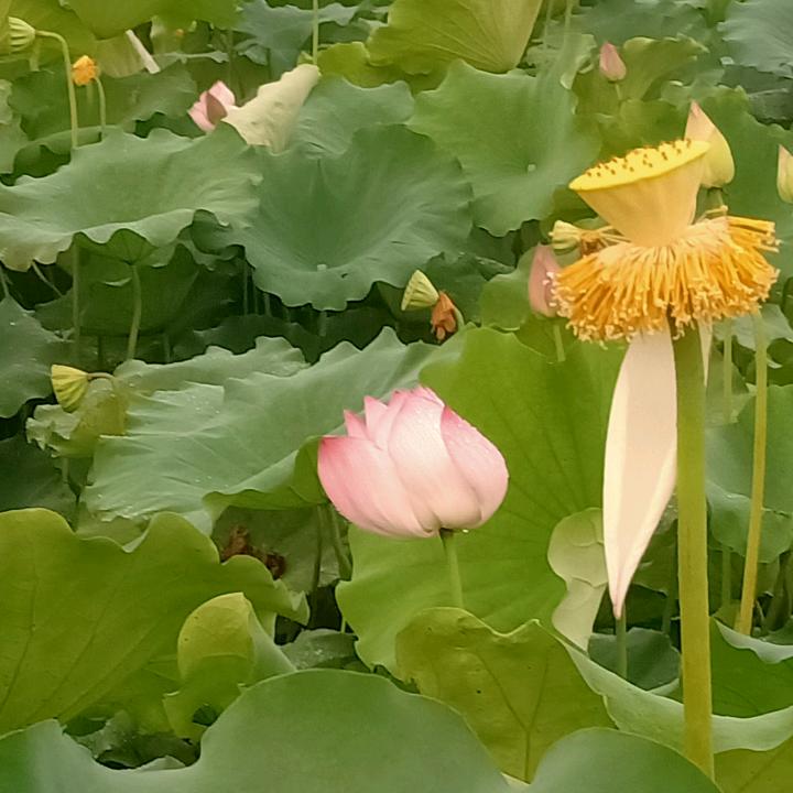 开心每天（橱窗有好物欢迎进入）