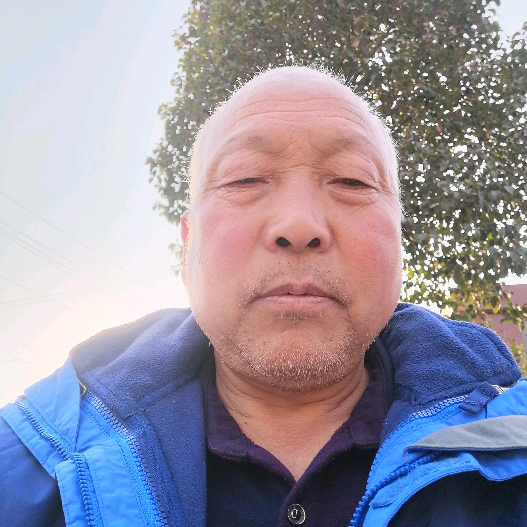 江村龙罩李师