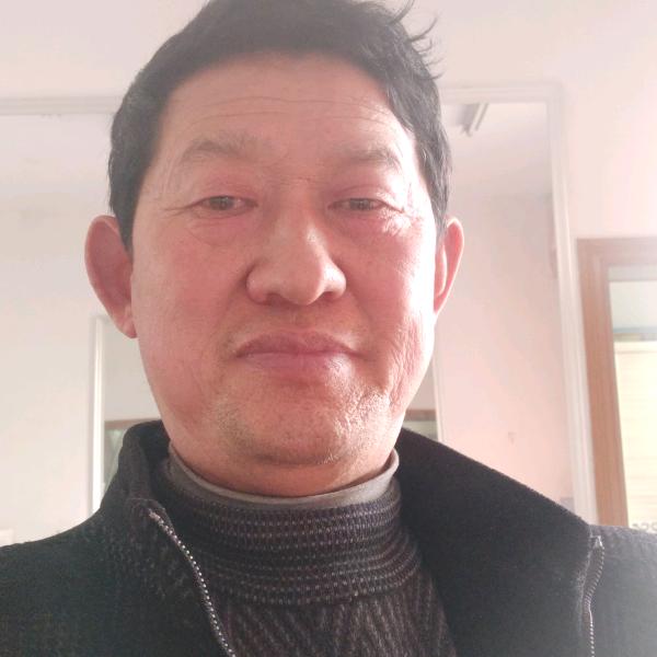 葛五胆小的蜜蜂