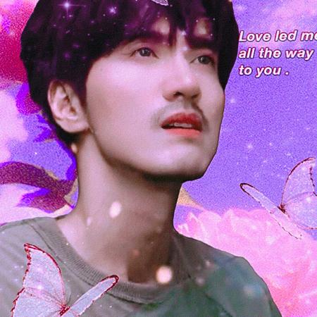 ♥花瓣雨♥