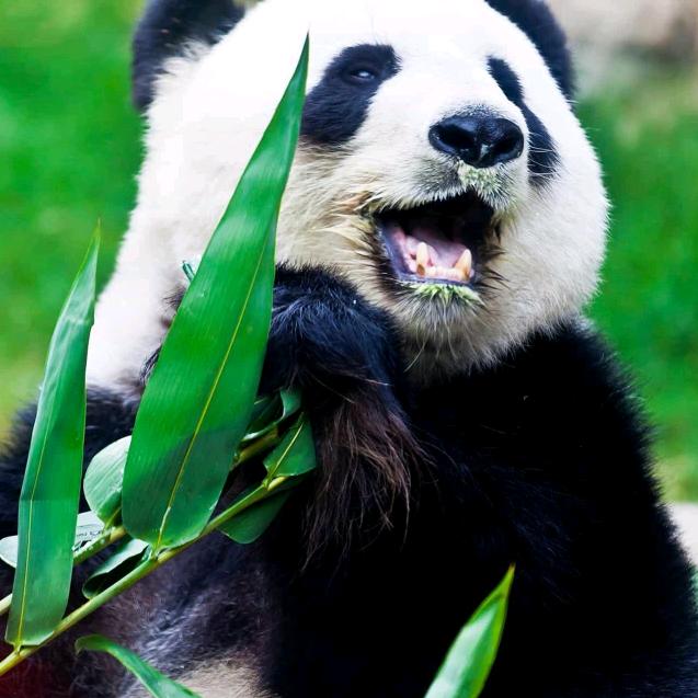 用户5871311898614强