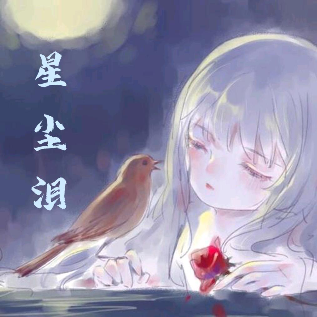 星缘0710