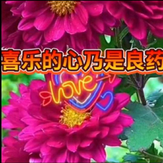 清心姊妹〈拒私聊）