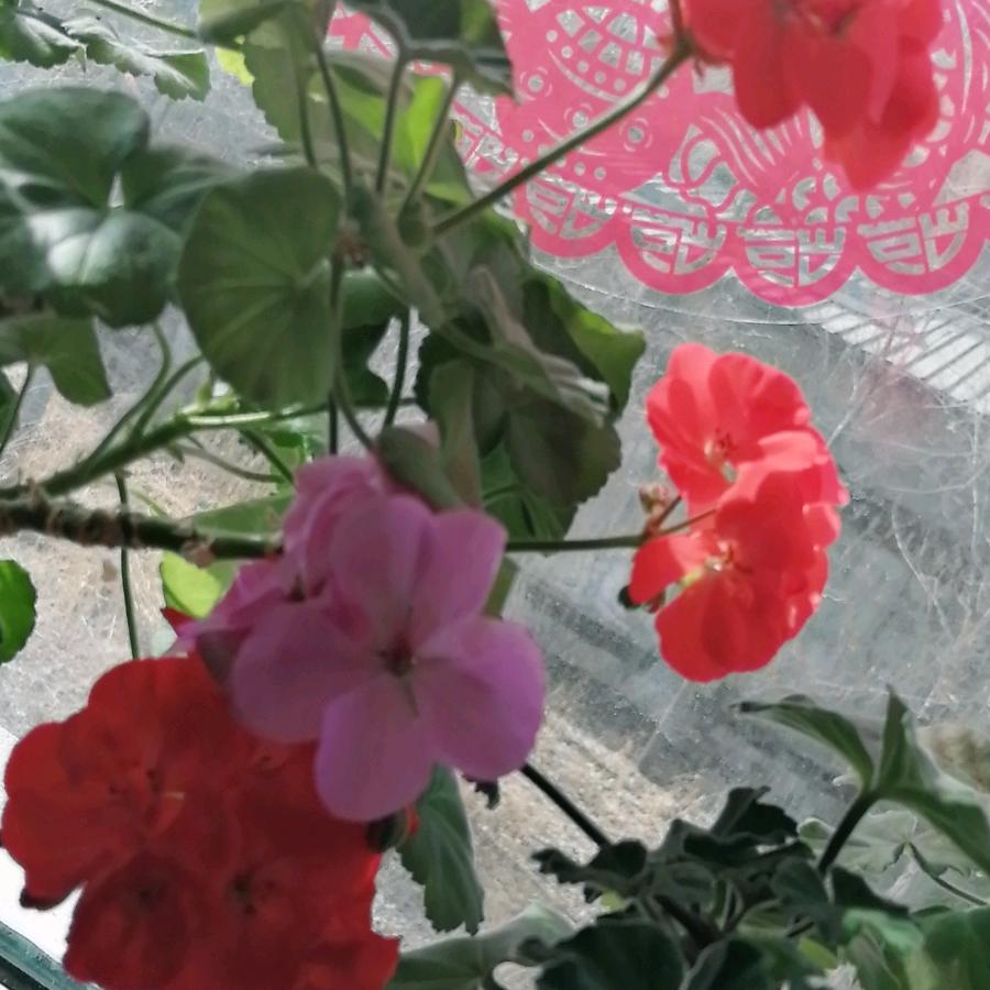幸福宝贝