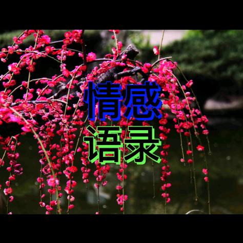 不潘