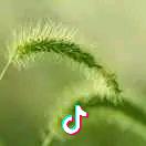 小雨
