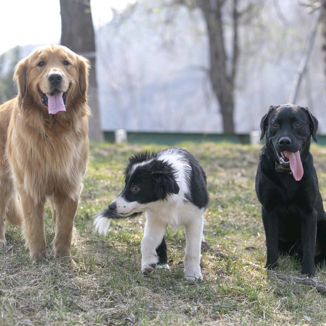 安于现状