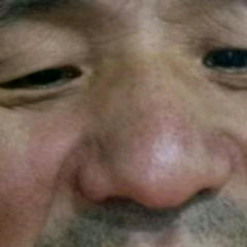 鱼鱼雅雅