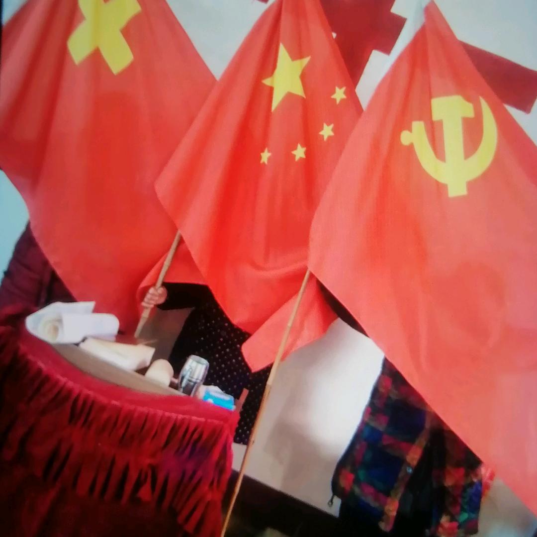 信鸽