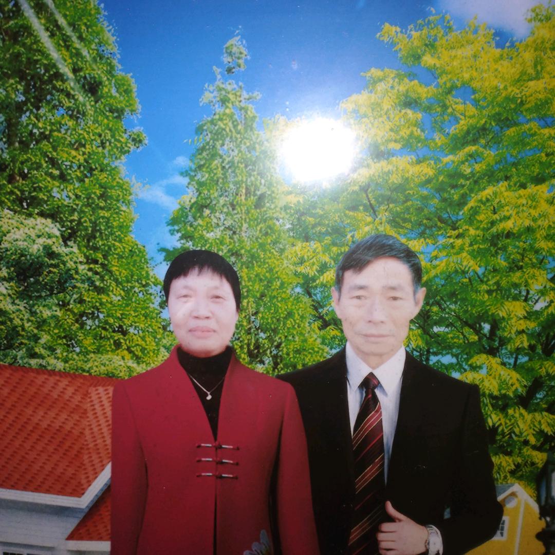 龙下陈红香