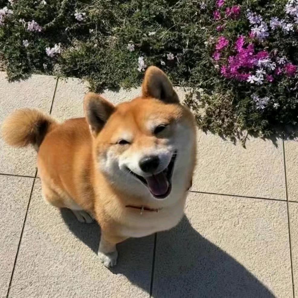 小葡萄