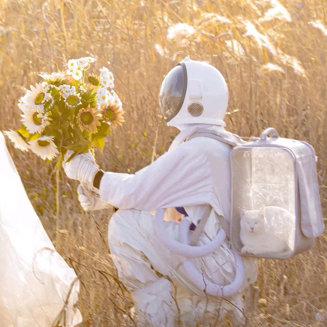 家养一只小摩托