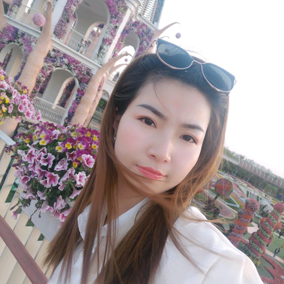 何家大小姐