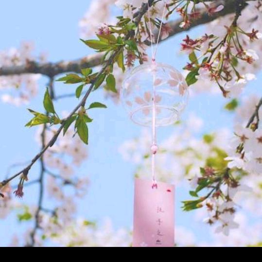 ︵ ヽ萍姐 。💋