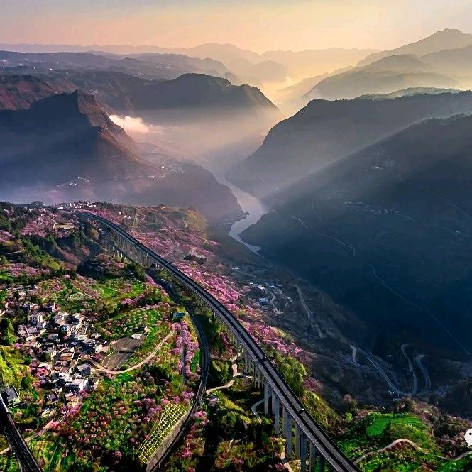 🌷独🌹自💐漂🌻泊🌴