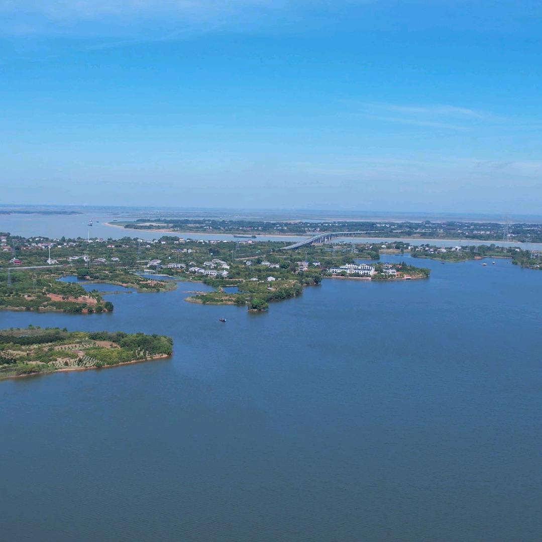 沅江杨康
