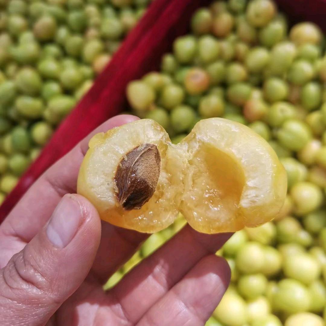 每天认识一种新疆特产