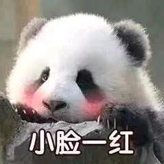 我就是想玩玩