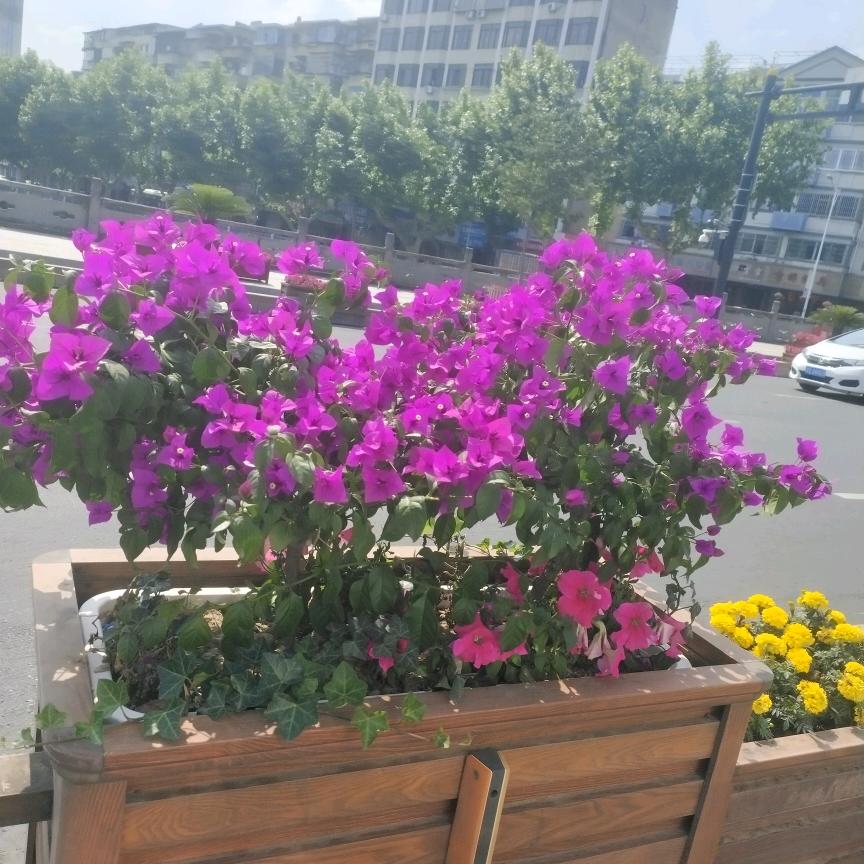 乡下农村打工妹