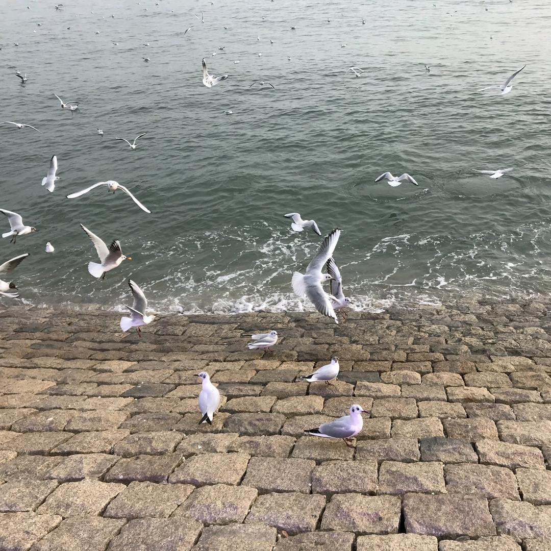 长钢安诚任姐说房