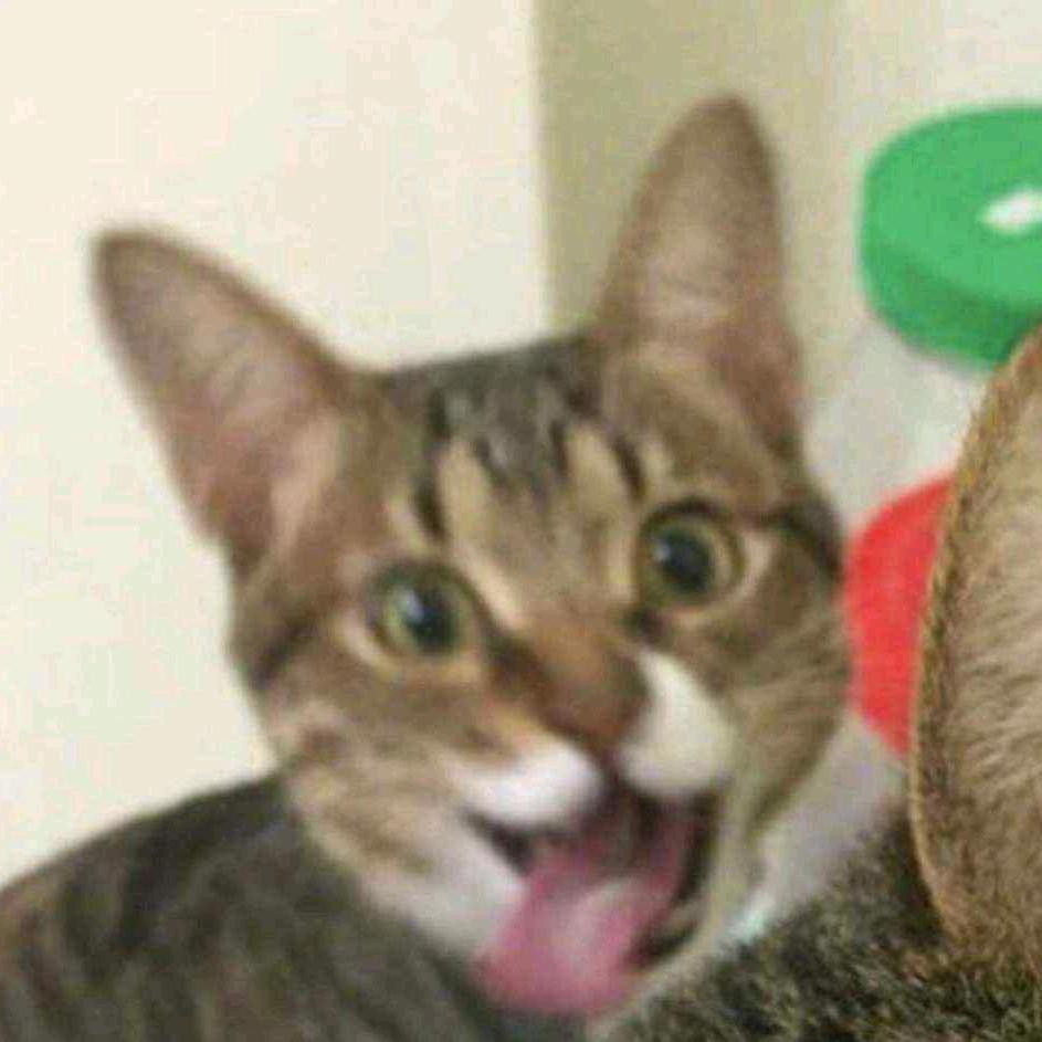 梵语亨