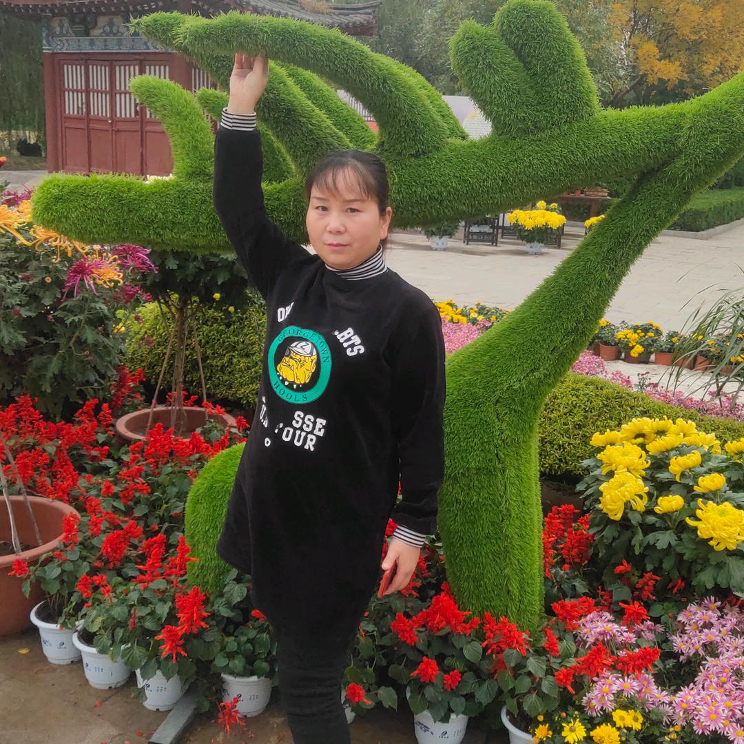 乘云翱翔