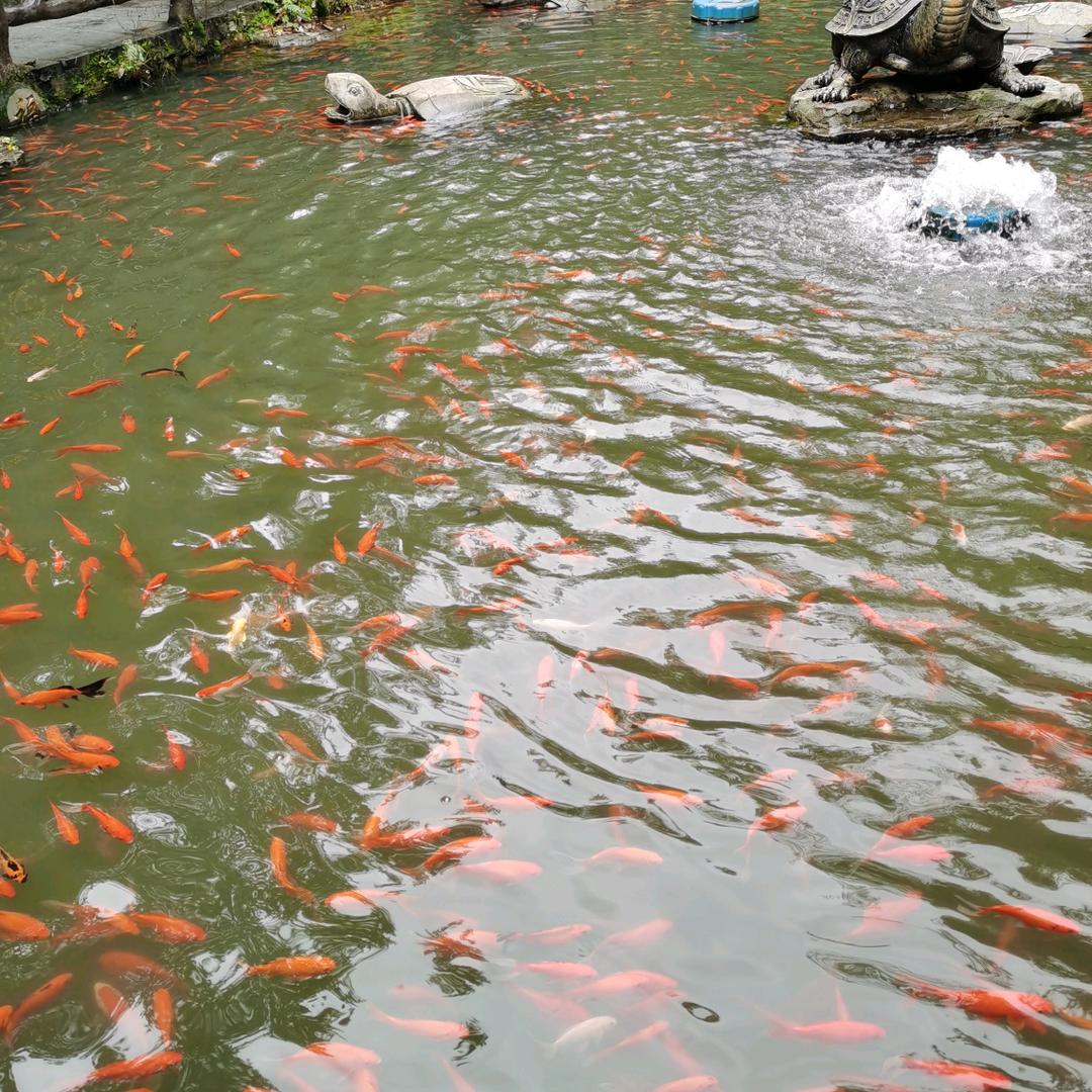 孤独