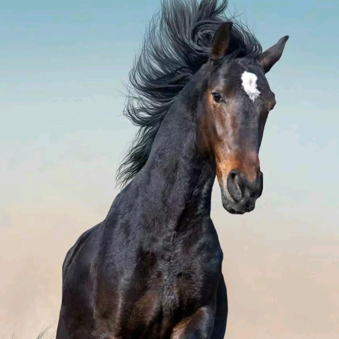 沉默的我，一切随缘