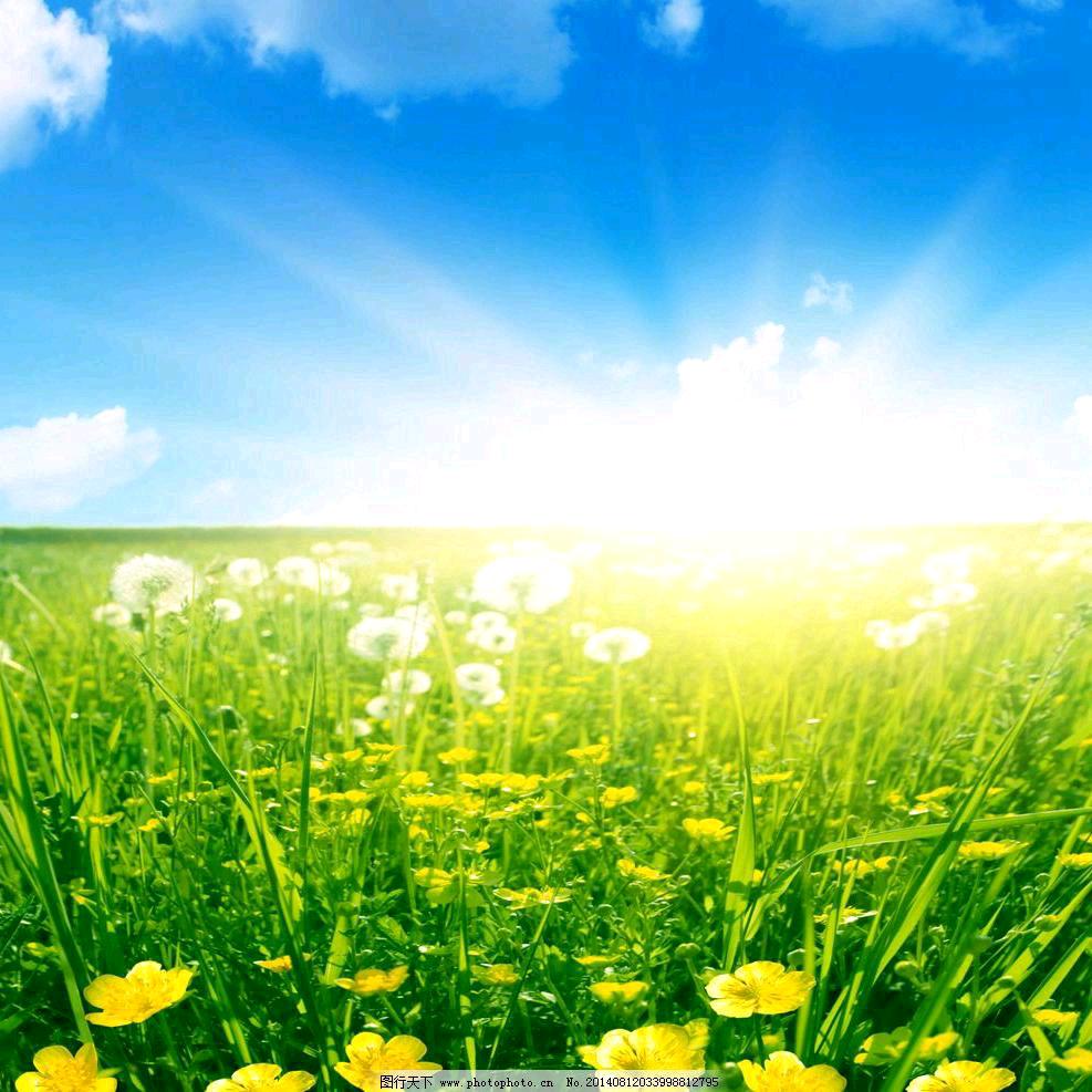 流金岁月（任哥）