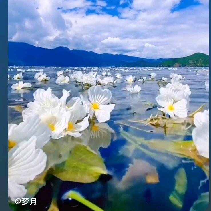 开辆越野🚘当流浪