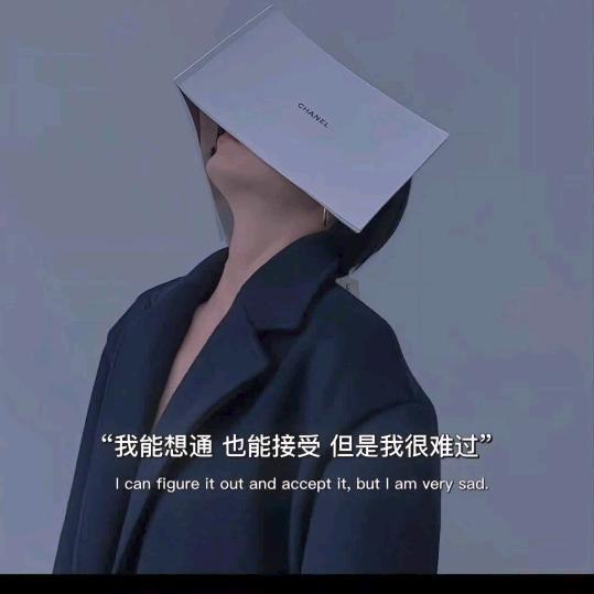 陈 辰的爱